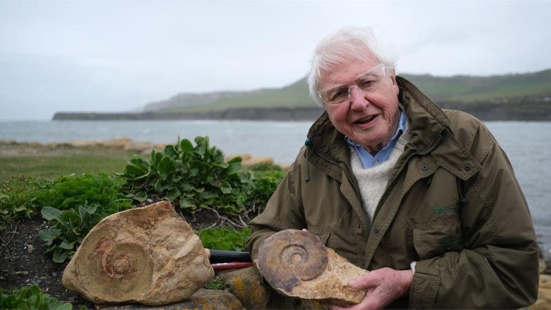 Attenborough a dávné mořské monstrum
