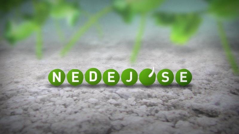 Školka v lese