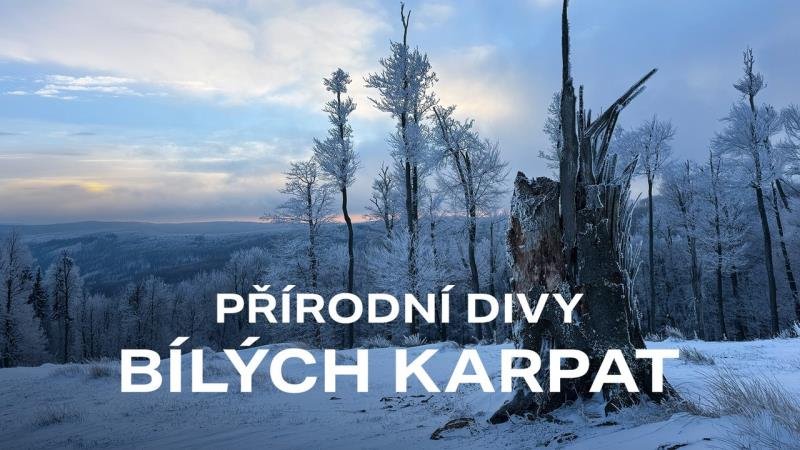 Jalovcová stráň