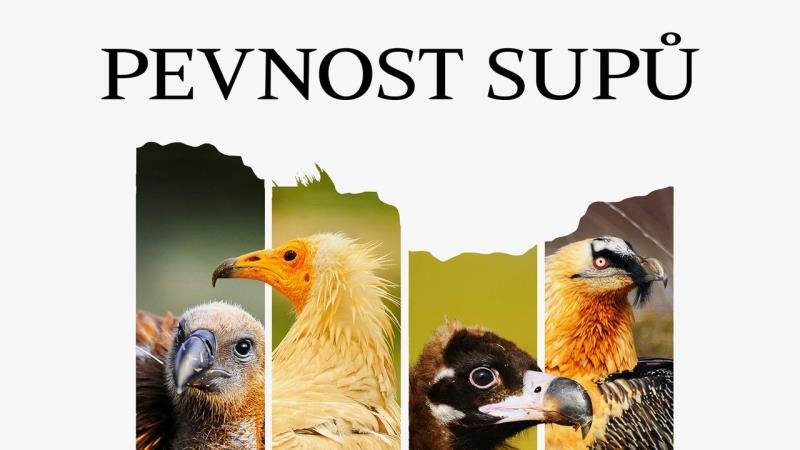 Pevnost supů