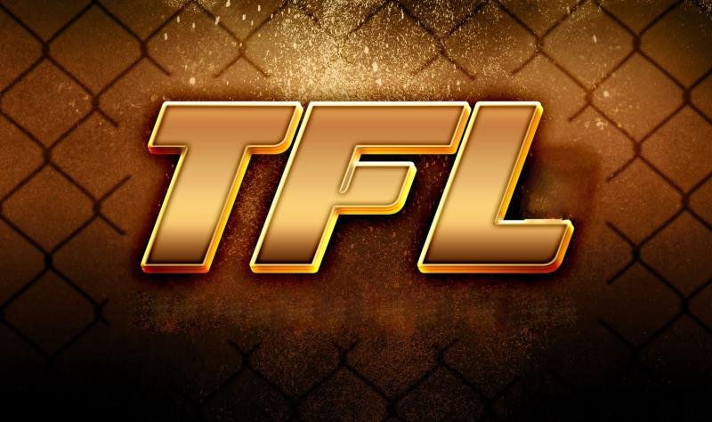 Thunderstrike Fight League 17, The Night of Truth, Lublin, Poland, 25.05.2019