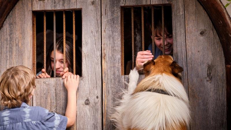 Lassie: Nové dobrodružství
