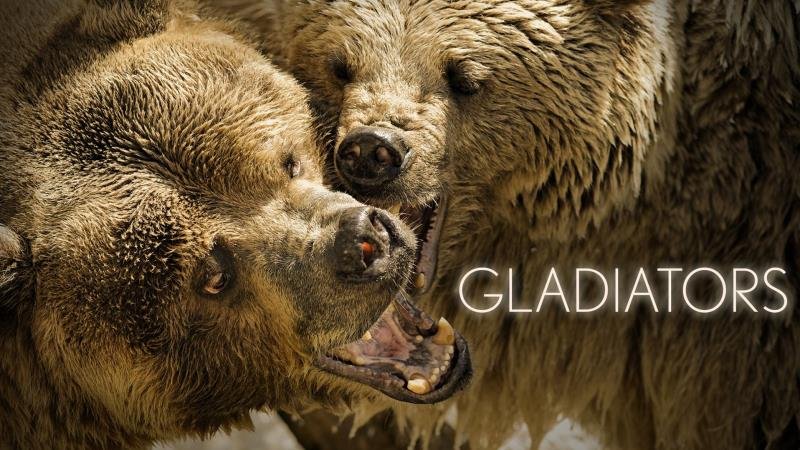 Gladiátoři