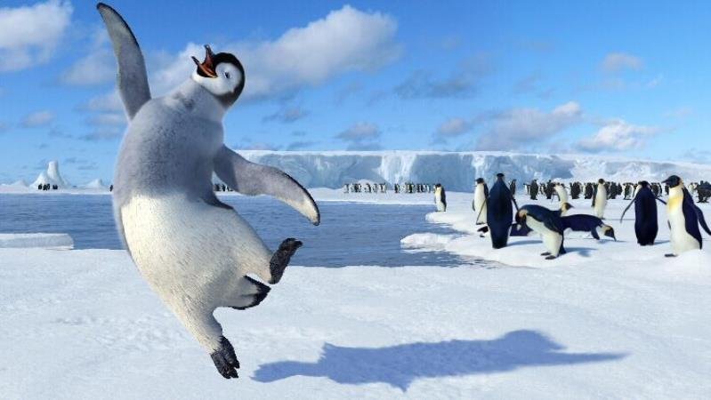 Happy Feet