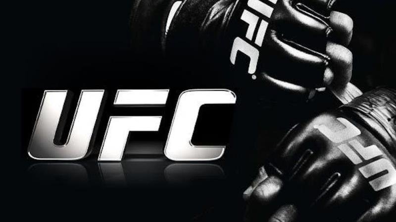 UFC Fight Night: Ankalaev vs. Guskov