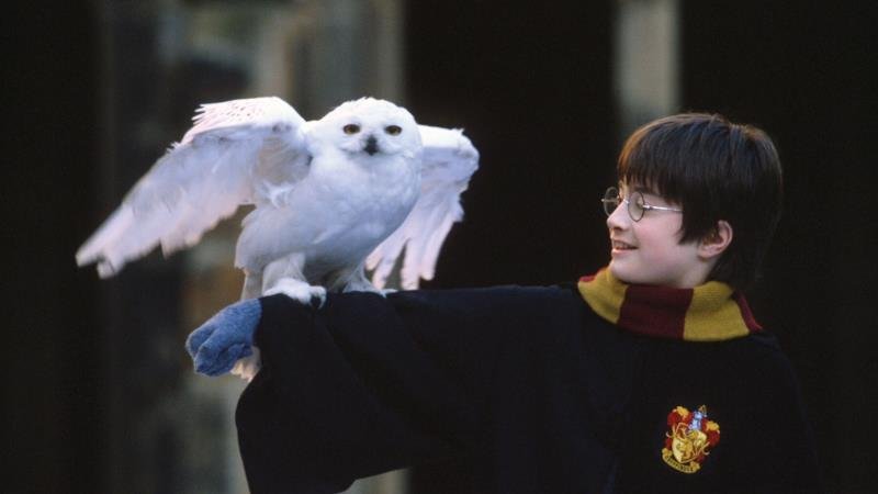 Harry Potter a Kámen mudrců