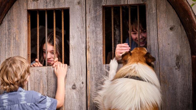 Lassie - Állati mentőakció