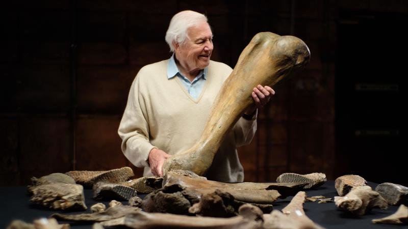 Attenborough a pohřebiště mamutů