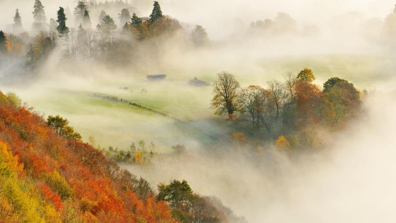 Skotsko - nová divočina